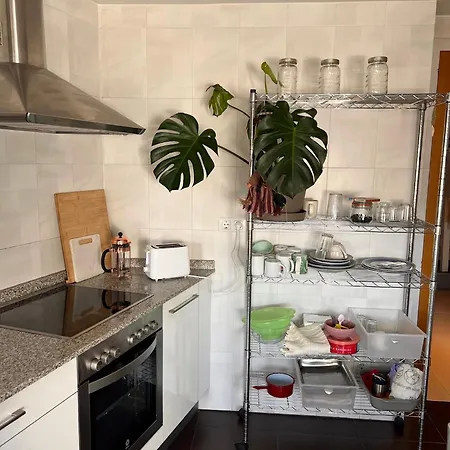 Descubre El Interior De Galicia Desde Nuestro Apartamento Apartment Sarria